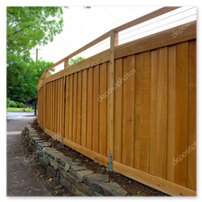 Sichtgeschützter Gartenweg mit dichter Bepflanzung und Zaun