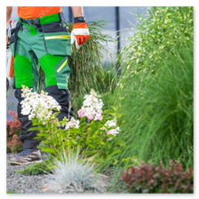 Gartenpflege Referenz 2 – gepflegte Beete